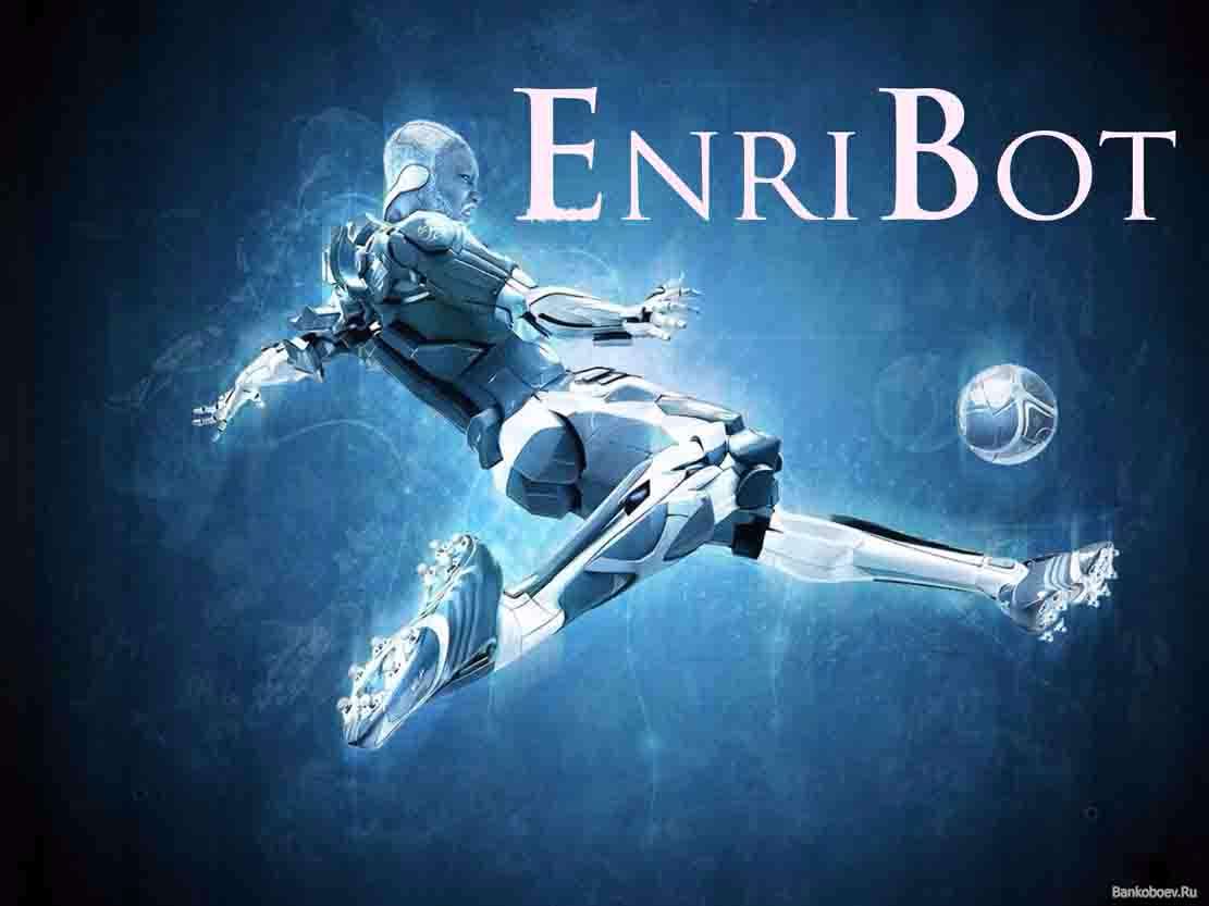 EnriBOT93