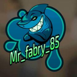 Mr.Fabry85