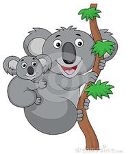 koala75